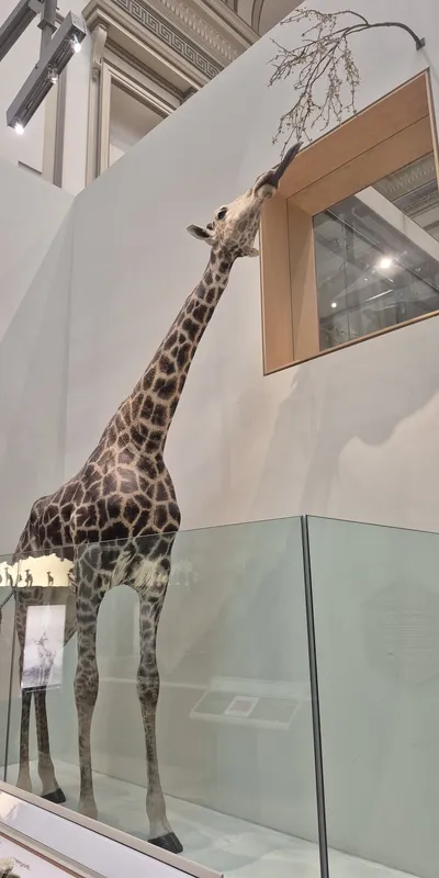 20250226_140545
