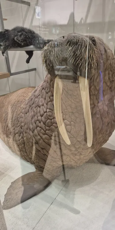 20250226_140705