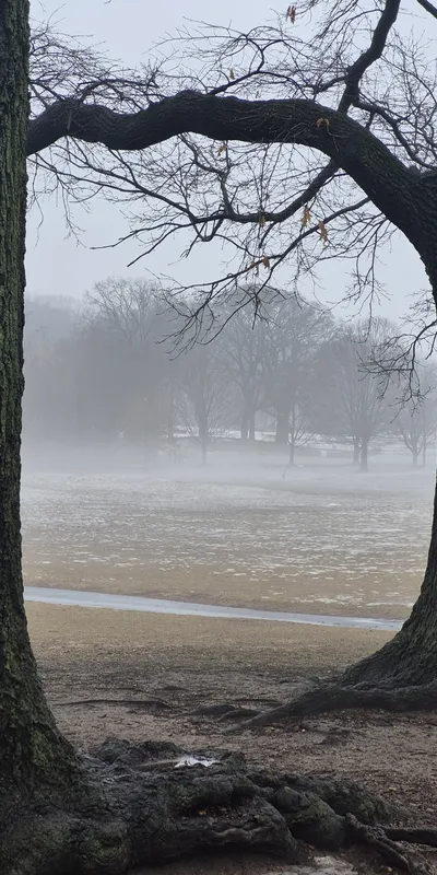 20250216_155036